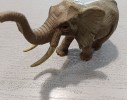 ELEFANTE