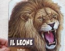 LIBRO IL LEONE