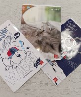 3 QUADERNI A RIGHE TERZA ELEMENTARE