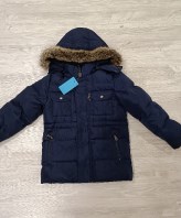 GIACCHETTO SARABANDA 6 ANNI