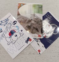 3 QUADERNI A RIGHE TERZA ELEMENTARE