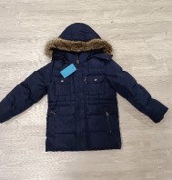 GIACCHETTO SARABANDA 6 ANNI