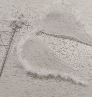 ACCESSORI CARNEVALE ANGELO