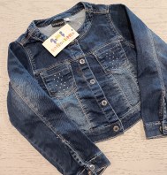 GIACCHETTO SARABANDA 5 ANNI