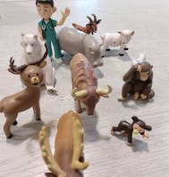BUSTA ANIMALI