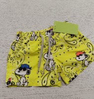 BOXER MARE 2 ANNI