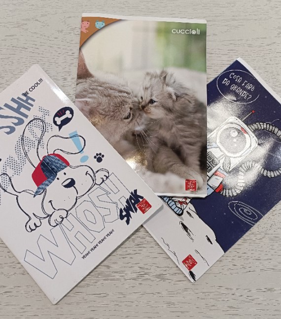 3 QUADERNI A RIGHE TERZA ELEMENTARE