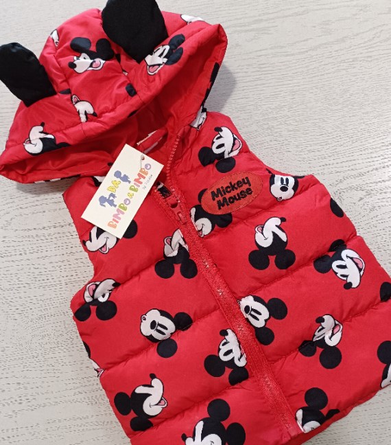 SMANICATO TOPOLINO 18/24 MESI