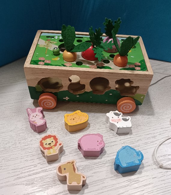 GIOCO INCASTRI LEGNO MONTESSORI (MANCANO ALCUNE...