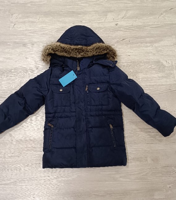 GIACCHETTO SARABANDA 6 ANNI