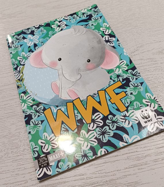 QUADERNO A RIGHE SECONDA ELEMENTARE