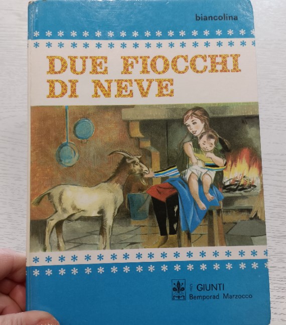 LIBRO DUE FIOCCHI DI NEVE