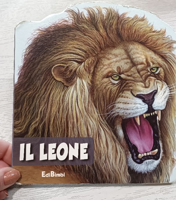 LIBRO IL LEONE