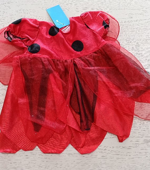VESTITO CARNEVALE COCCINELLA 1 ANNO