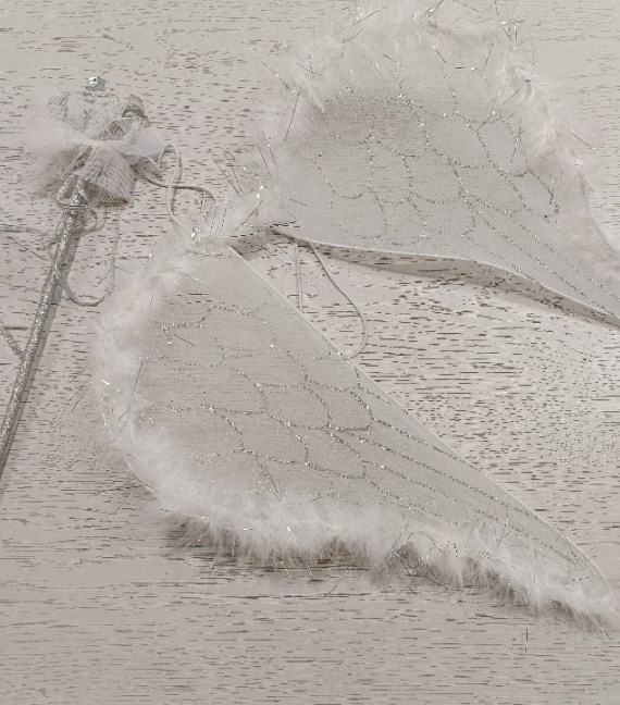 ACCESSORI CARNEVALE ANGELO