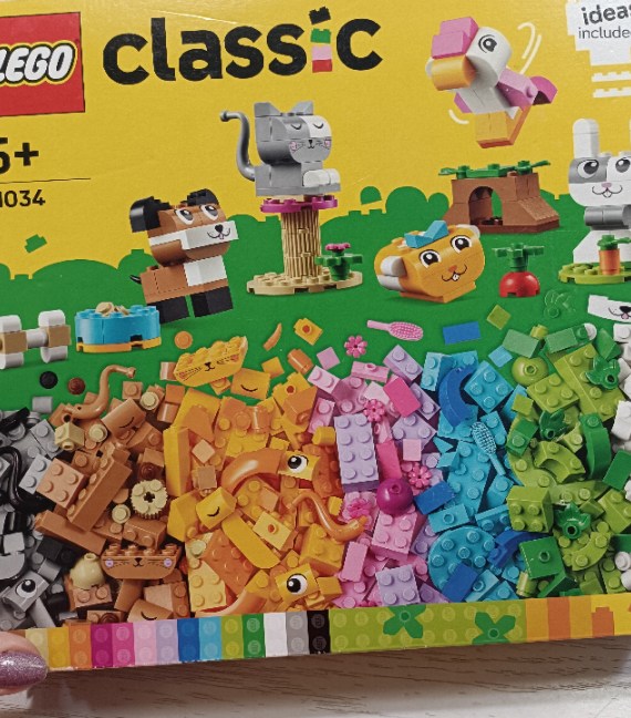COSTRUZIONI LEGO 5+