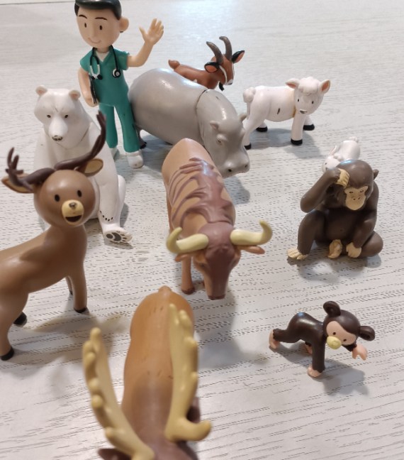BUSTA ANIMALI
